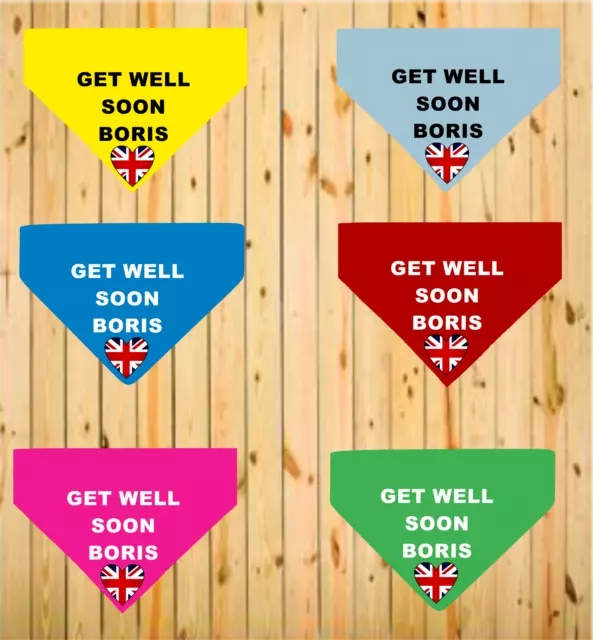 Get Well Soon Boris Prime Minister UK Printed Dog Bandana 3 Sizes NHS Charity