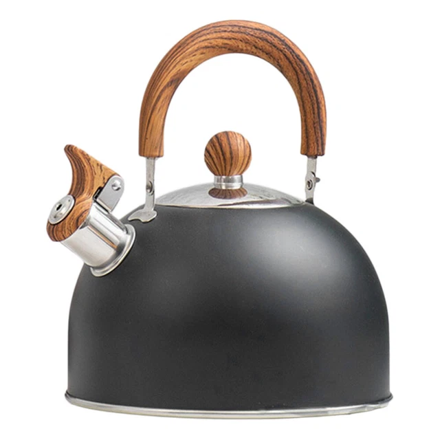 Bouilloire de Camping sans BPA, 1l, bouilloire d'extérieur en