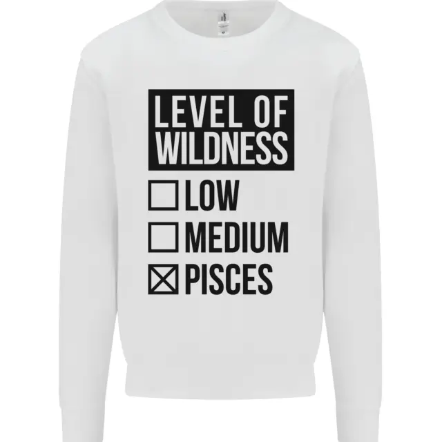 Levels of Wildness Pisces Kids Sweatshirt Jumper