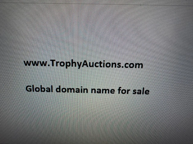 TrophyAuctions.com -  global domain name for sale - $16,000