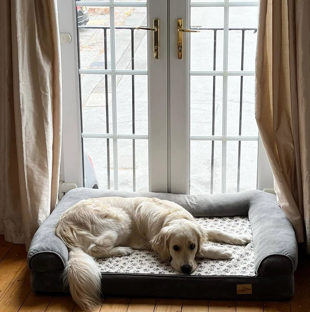 Jumbo Orthopedic Dog Foam Bed Dog Deep Sleep Sofa w/ Removable Waterproof Cover