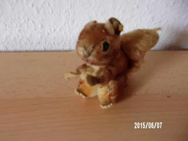 Steiff Eichhörnchen Perri original mit Knopf im Ohr Vintage 10 cm