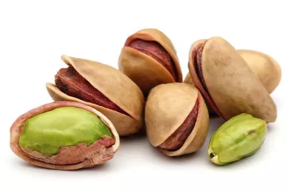 5 PISTACHIO Tree Seeds+Gift 30 seed pistacia atlantica to graft whith  vera