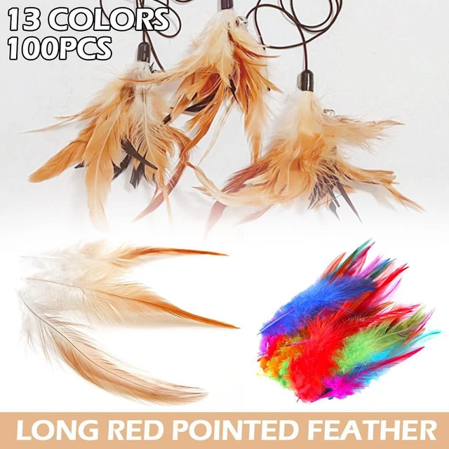 Coloridas plumas de gallo cola de faisán para manualidades hágalo usted mismo X0K0