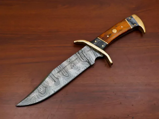 Rody Stan CUSTOM MADE DAMASCUS CLIP POINT BLADE BOWIE HUNTING KNIFE -BRASS GUARD