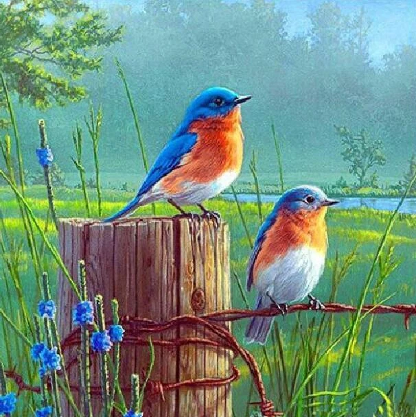 5D DIY Diamond Painting Kits Full Round Drill Birds Mosaic Picture Cross Stitch