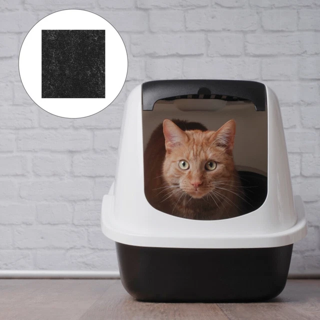 24pcs attivato dedodizing dedodizing filter pad cat letter box tappetino filtro