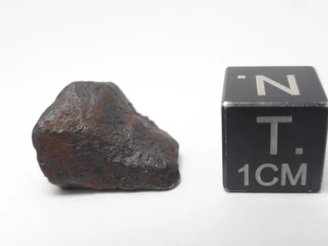 6.68 g Mundrabilla Iron Meteorite