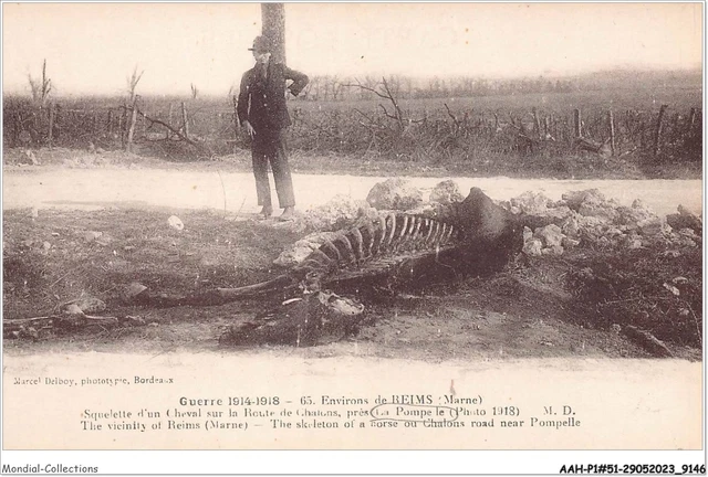 AAHP1-51-0084 - GUERRE 1914-1918 - Environs de Reims