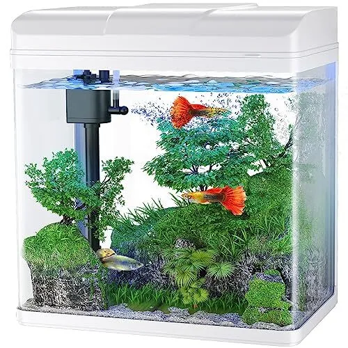 Fish Tank, 1.7 Gallon Glass Aquarium with Air Pump & LED 1.7 Gallon White