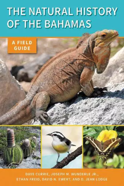 The Natural History of The Bahamas: A Field Guide by Dave Currie (English) Paper