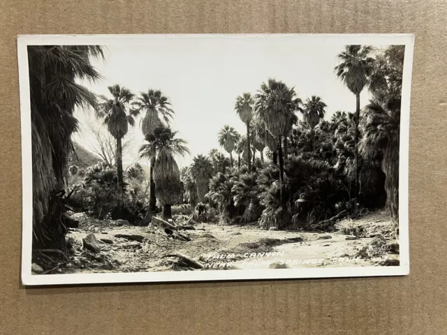 Postcard RPPC Palm Springs CA California Scenic Palm Canyon Real Photo Vintage