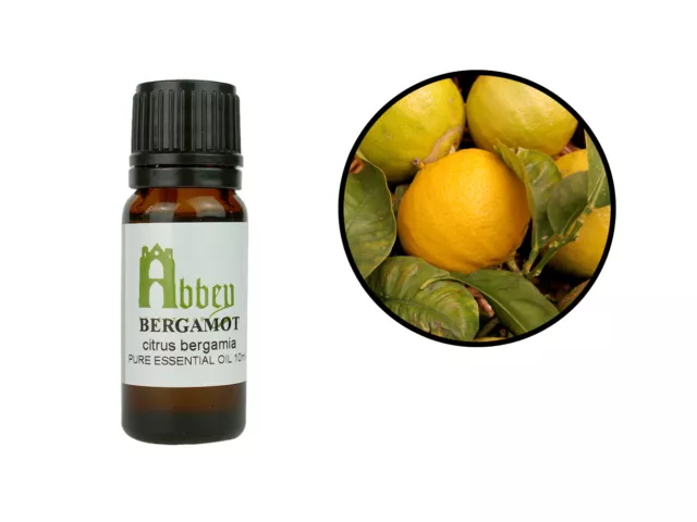 Essential Oil Bergamot 100% Pure Natural Aromatherapy Oil