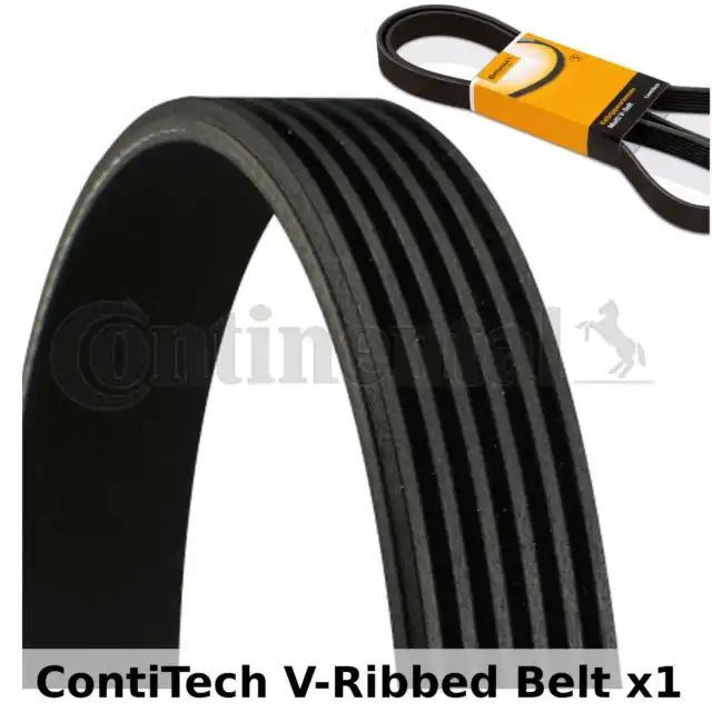ContiTech V-Ribbed Belt - 6PK2465 , 6 Ribs - Fan Belt Alternator, Drive Belt