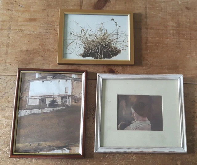 Andrew Wyeth  (1917 - 2009) - Prints (3)  - Framed Behind Glass - Feature Wall