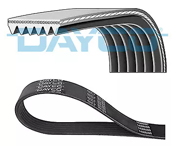 Fits DAYCO DAY6PK1220S V-Ribbed Belt DE stock