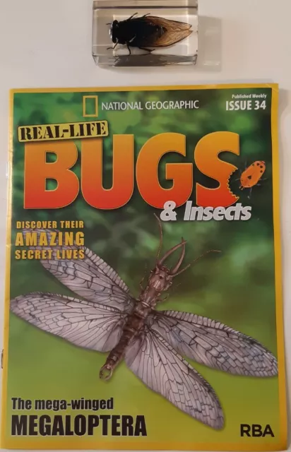 RARE National Geographic Real Life Bugs & Insects Magazine Issue 34 Cicada Open