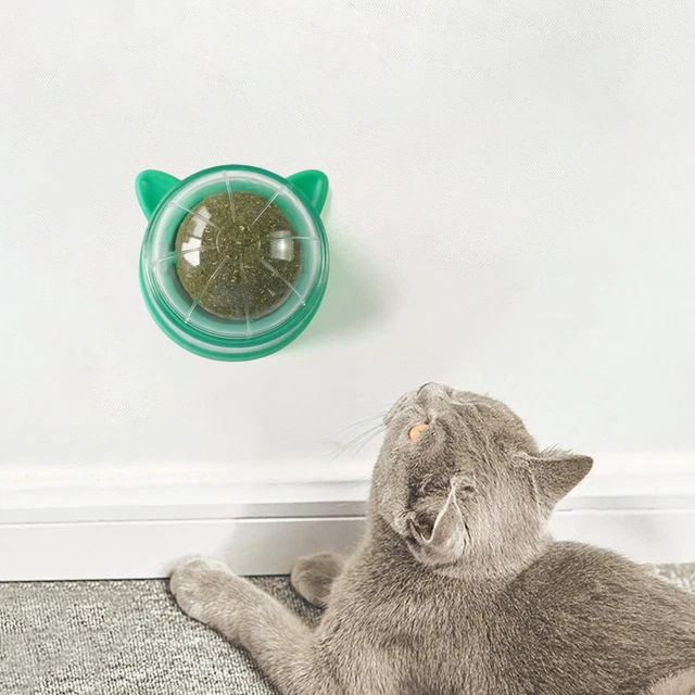 Chew Cat Toy Exercise Cleaning Round Catnip Ball Toys Interactive Cat Toys