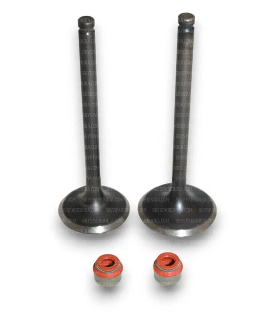 MOTEUR VALVE EN / Ex Set Avec Joint Pour Royal Enfield Himalaya Scram