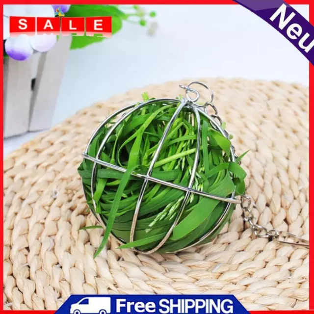 Stainless Steel Feed Dispenser Hanging Hay Holder Small Animals Sphere Treat