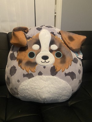 target australian shepherd squishmallow