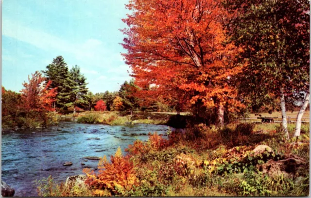 Postcard Ossipee River Autumn Effingham Falls New Hampshire B57