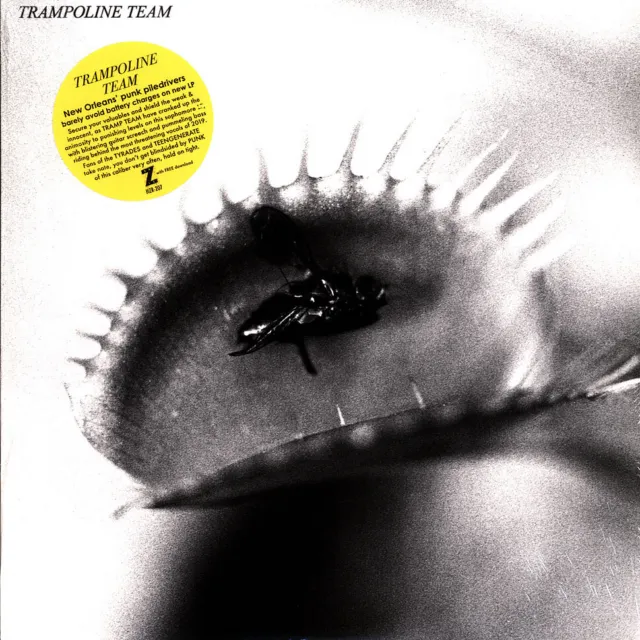 Trampoline Team - Trampoline Team (Vinyl LP - 2019 - US - Original)