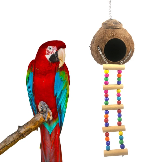 1PC Wooden Parrot Toy Holz Papagei Spielzeug Vogel Liefert Klettern Leiter Vogel