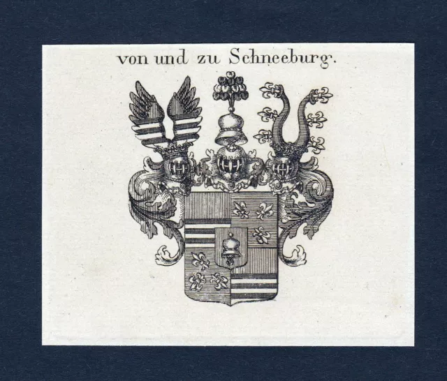 1820 Schneeburg Escudo Nobleza Abrigo De Arms Heraldry Heráldica Grabado