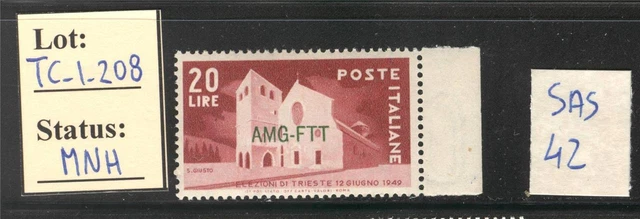 TC_1_208. TRIESTE (AMG FTT). 1949 "ELEZIONI TRIESTE" stamp. MNH