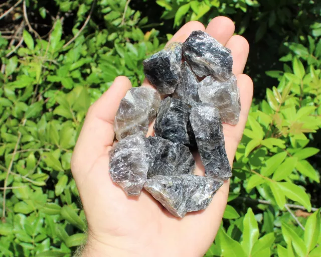 Smoky Quartz Rough Natural Stones: Choose How Many (Raw Smoky Quartz Crystals)