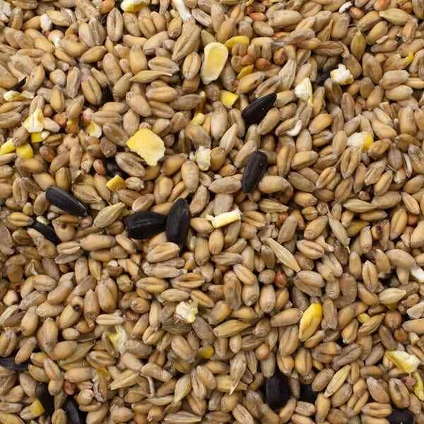 ORIGINAL WILD BIRD Seed Mix High Energy 12.55kg 20kg 25.1kg £10.49 ...