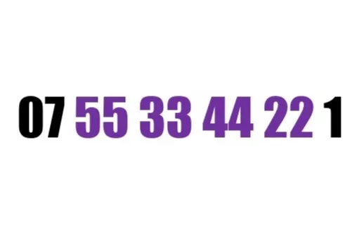 Gold Vip Business Easy Memorable Mobile Phone Number Platinum Sim 55 33 44 22