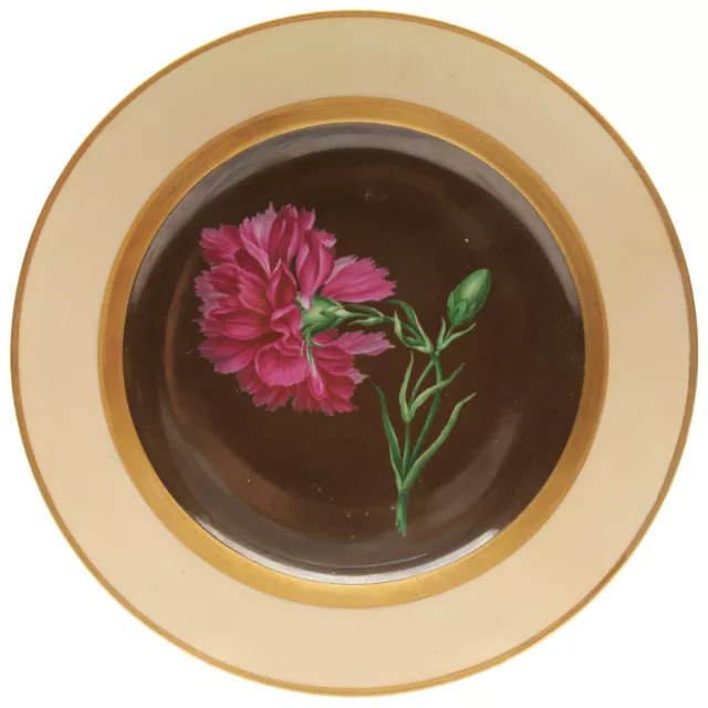 Porcelain decorative plate "Garden Carnation", Imperial & Royal Factory Vienna