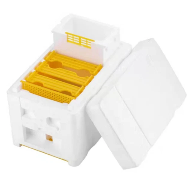 Caja multifunción para colmena rey apicultura caja de espuma hogar abejas colmena cajas de polinización