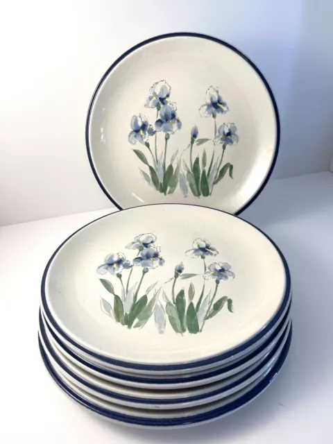 EUC - Rare Vintage Ranmanu, Blue Iris Stoneware Dinner Plates, Japan, Floral