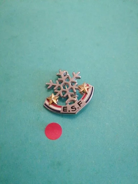 Broche ski Français - ESF vintage Flocon 2 étoiles Insigne médaille Brevet