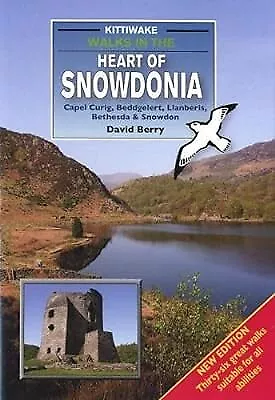 Walks in the Heart of Snowdonia, Berry, David, Used; Good Book