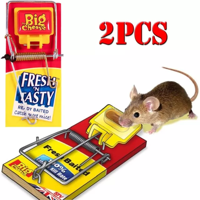 2x The Big Cheese Mouse Trap Humane Rat Catch Pest Control Mice Catcher Rodent