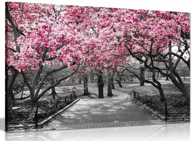 Black & White Wall Art Pink Blossoms Canvas Wall Art Picture Print