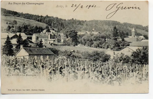 AVIZE - Marne - CPA 51 - In the Pays du Champagne - the mountain - the vines
