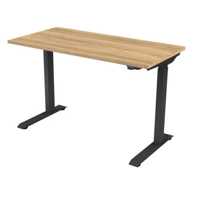 Dellonda Electric Adjustable Sit & Standing Desk Oak Top DH66