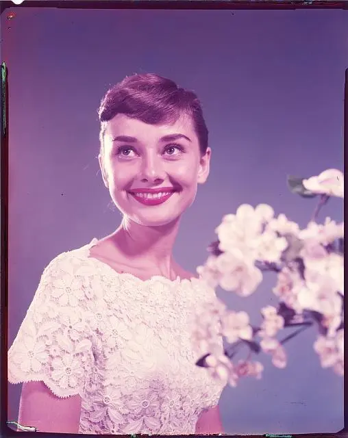 Photo:Image from LOOK - Job 53-2519 titled Audrey Hepburn