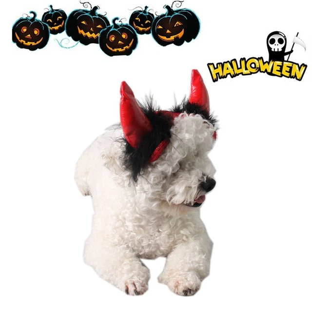 Costume trasformazione animale domestico vestito cartone animato diavolo corno demone fascia di Halloween
