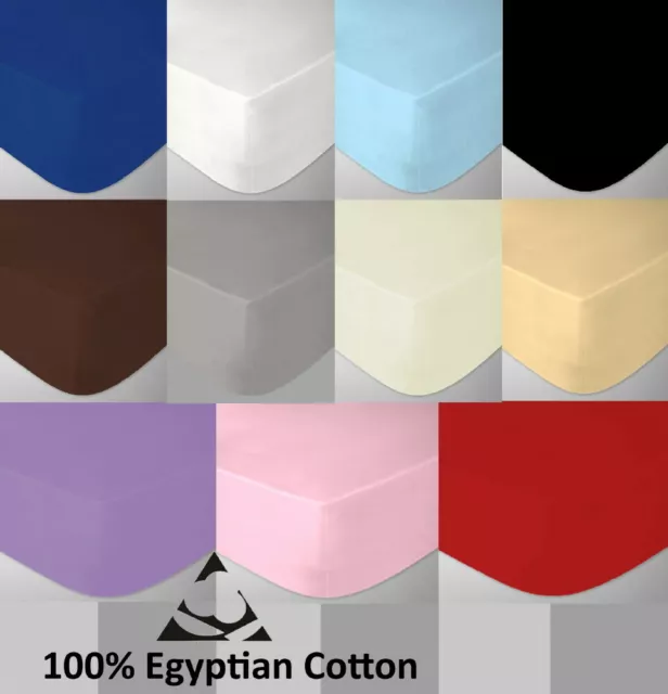 Egyptian Cotton Cot Bed Fitted Sheet 200 Thread Count, 70 x 140cm