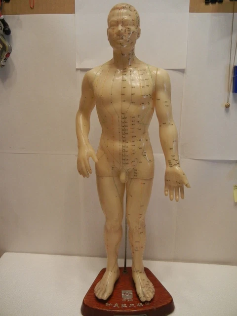 Figura De Colección China Puntos De Acupuntura Cuerpo Masculino 19" Goma Con Marca Stand By Eye Figura De Colección China Puntos De Acupuntura Cuerpo Masculino 19" Goma Con Marca Stand By Eye