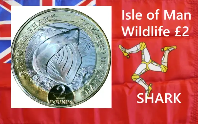 Isle of Man coin £2 pounds 2023 Wildlife Series Basking Shark SHARKAGH animal
