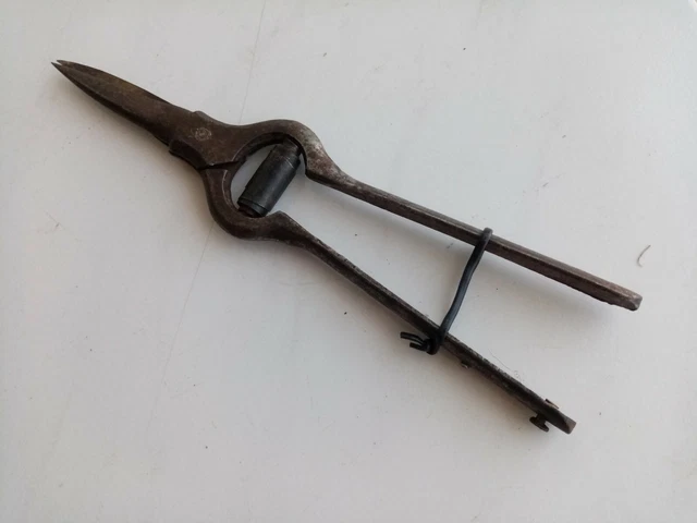 Ancien sécateur à volaille Nogent Envoi 24/48 h paire de