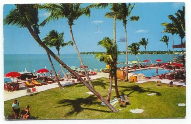 Miami Beach FL Monterrey Resort Motel Swimming Pool Scene Postcard Florida