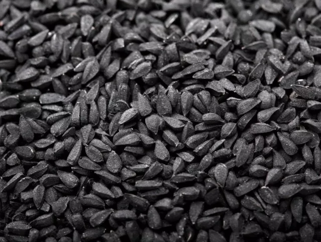 Kalonji Nigella Seeds BULK - Black cumin Barakh 500g 1kg 2kg 5kg 10kg 15kg 20kg 3